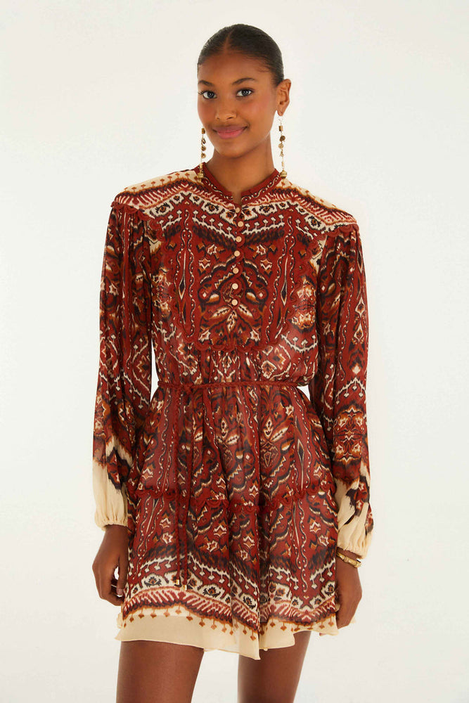 AINIKA TAPESTRY LS DRESS